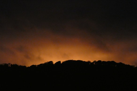 349E750D-2AFC-4DBA-9A01-2B7393B53092