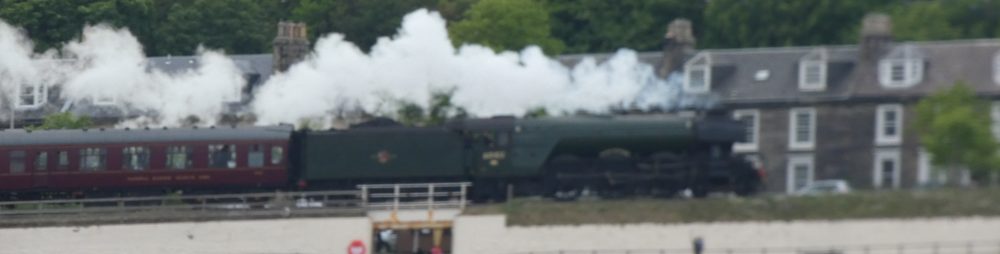 Burgh.Buzz – News & Info