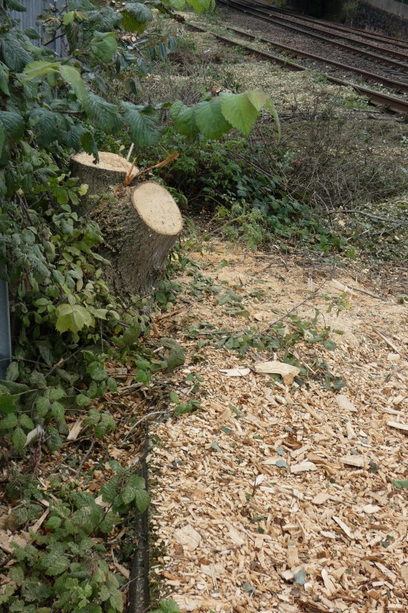 5C51BF56-37EE-419B-A2DC-879E9E823D43